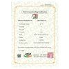 Striploin Wagyu A5 Miyazaki 500 g — BOXXI