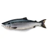 Boxxi Wild Alaskan Nerka Salmon, Skin-On Pieces 200g