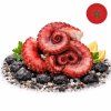 chobotnice web