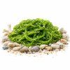 wakame web